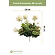 Kunstig geranium hvid 40 cm Kunstig geranium hvid 40 cm