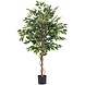Kunstig plante Ficus Green 150 cm Kunstig plante Ficus Green 150 cm