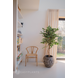 Kunstig plante Ficus Green 150 cm Kunstig plante Ficus Green 150 cm