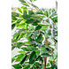 Kunstig plante Ficus Green 150 cm Kunstig plante Ficus Green 150 cm