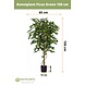 Kunstig plante Ficus Green 150 cm Kunstig plante Ficus Green 150 cm