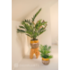 Kunstig palme Parlour 60 cm Kunstig palme Parlour 60 cm