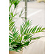 Kunstig palme Parlour 60 cm Kunstig palme Parlour 60 cm