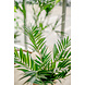 Kunstig palme Parlour 60 cm Kunstig palme Parlour 60 cm