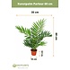 Kunstig palme Parlour 60 cm Kunstig palme Parlour 60 cm