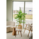 Kunstig plante Bambus 150 cm Kunstig plante Bambus 150 cm