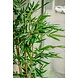 Kunstig plante Bambus 150 cm Kunstig plante Bambus 150 cm