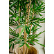 Kunstig plante Bambus 150 cm Kunstig plante Bambus 150 cm
