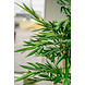 Kunstig plante Bambus 150 cm Kunstig plante Bambus 150 cm