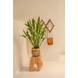 Kunstig plante Calathea 80 cm Kunstig plante Calathea 80 cm