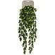 Kunstig hængeplante Buxus blomster 75 cm Kunstig hængeplante Buxus blomster 75 cm