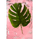 Monstera (hulplante) kunstigt blad 73 cm Monstera (hulplante) kunstigt blad 73 cm