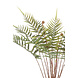 Kunstig bregne dicksonia 60 cm Kunstig bregne dicksonia 60 cm