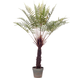 Kunstig bregne dicksonia 105 cm Kunstig bregne dicksonia 105 cm