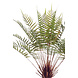 Kunstig bregne dicksonia 105 cm Kunstig bregne dicksonia 105 cm