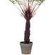 Kunstig bregne dicksonia 105 cm Kunstig bregne dicksonia 105 cm
