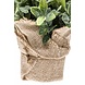 Kunstig urteplante mynte 19 cm Kunstig urteplante mynte 19 cm