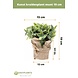 Kunstig urteplante mynte 19 cm Kunstig urteplante mynte 19 cm