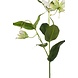 Gloriosa kunstig blomst cremehvid 75 cm Gloriosa kunstig blomst cremehvid 75 cm