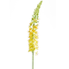 Kunstig blomst Eremurus 105 cm gul Kunstig blomst Eremurus 105 cm gul