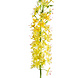 Kunstig blomst Eremurus 105 cm gul Kunstig blomst Eremurus 105 cm gul
