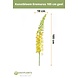 Kunstig blomst Eremurus 105 cm gul Kunstig blomst Eremurus 105 cm gul