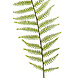 Kunstig bregnegren 100 cm grøn Kunstig bregnegren 100 cm grøn