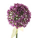 Kunstig blomst Allium 70 cm lilla Kunstig blomst Allium 70 cm lilla