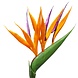 Kunstig blomst mini Strelitzia 65 cm orange Kunstig blomst mini Strelitzia 65 cm orange