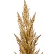Kunstigt pampasgræs beige 115 cm Kunstigt pampasgræs beige 115 cm