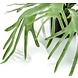 Kunstig plante Staghorn 60 cm i potte Kunstig plante Staghorn 60 cm i potte