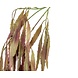 Kunstig hængeplante Rhipsalis bordeaux 75 cm Kunstig hængeplante Rhipsalis bordeaux 75 cm