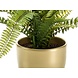 Kunstig plante Fern 58 cm i guldpotte Kunstig plante Fern 58 cm i guldpotte