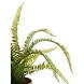 Kunstig plante Fern 58 cm i guldpotte Kunstig plante Fern 58 cm i guldpotte