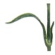 Kunstig blomst Nellike 67 cm hvid Kunstig blomst Nellike 67 cm hvid