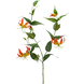 Kunstig blomst Gloriosa orange 120 cm Kunstig blomst Gloriosa orange 120 cm