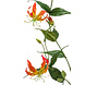Kunstig blomst Gloriosa orange 120 cm Kunstig blomst Gloriosa orange 120 cm