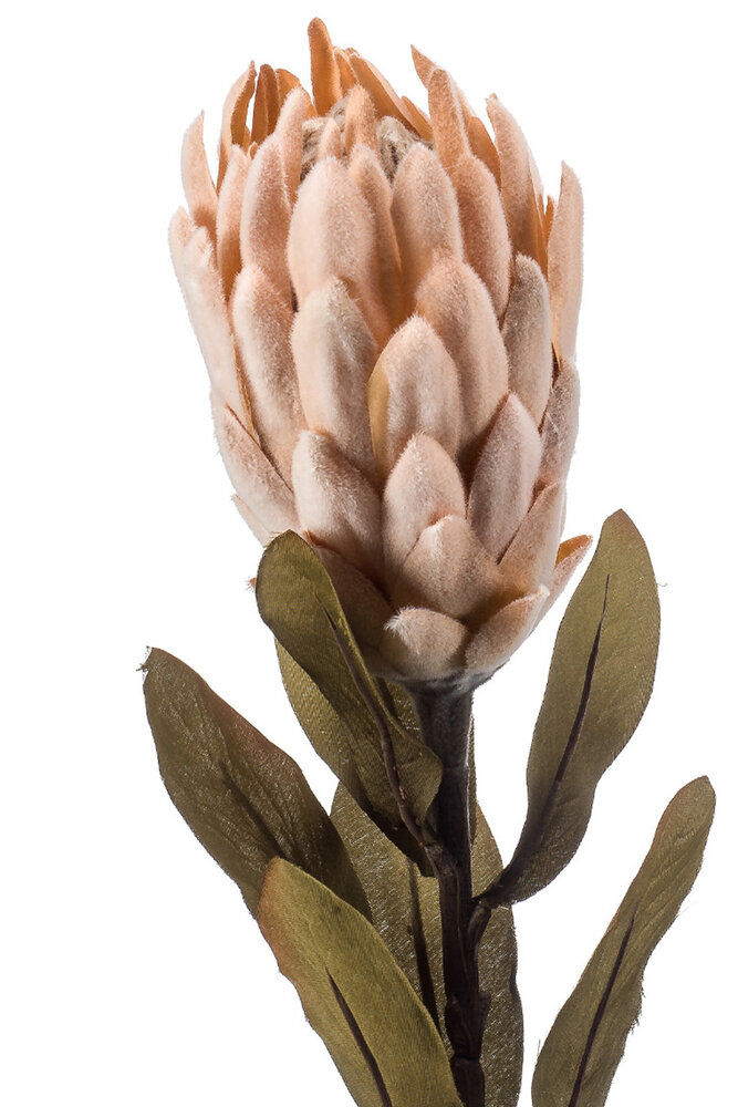 Kunstig cm spray blomst Protea 62 beige