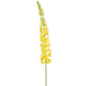 Kunstig blomst Eremurus gul 130 cm Kunstig blomst Eremurus gul 130 cm