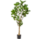 Kunstig plante Polyscias træ 150 cm Kunstig plante Polyscias træ 150 cm