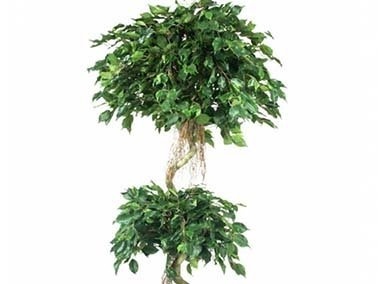 Brandhæmmende kunstige planter