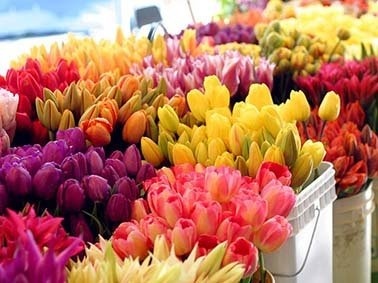 Kunstige blomster: varig farve i hjemmet