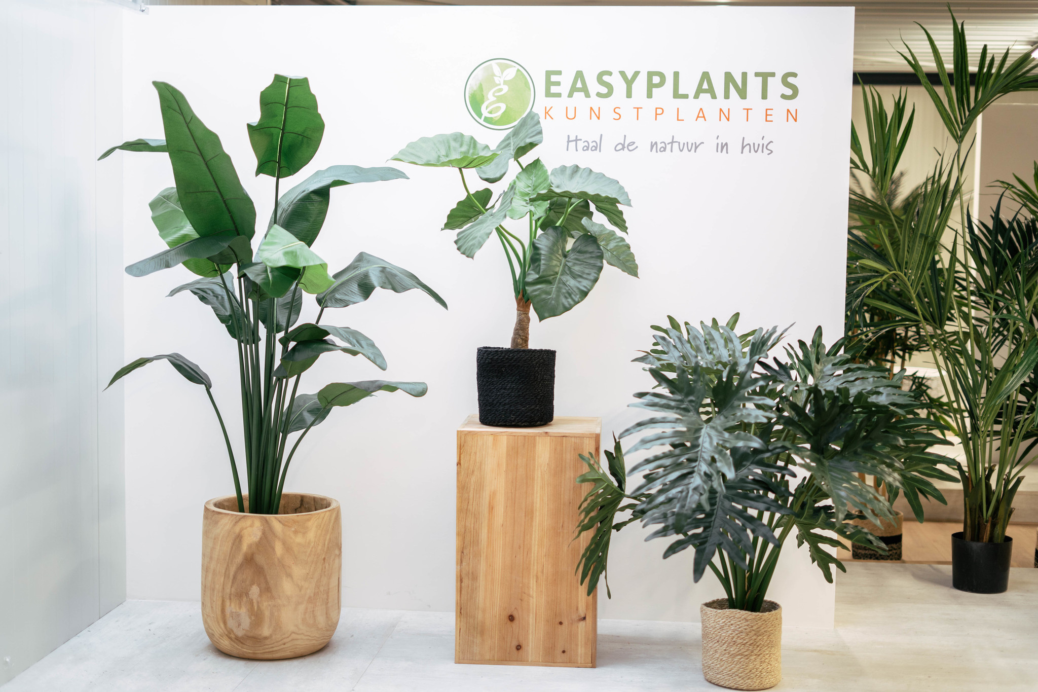 De mest populære kunstige planter i 2021