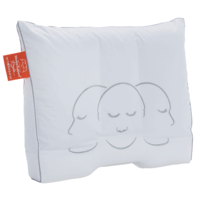 Support Royale kussen Oranje