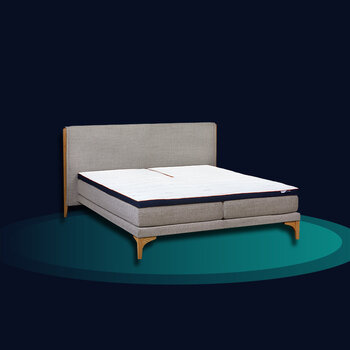 M Line M line bed Element