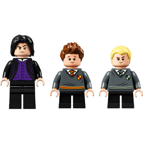 LEGO Harry Potter 76383 Zweinstein Moment: Toverdrankenles