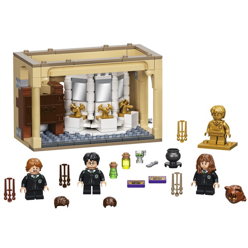 LEGO Harry Potter 76386 Zweinstein: Wisseldrank vergissing