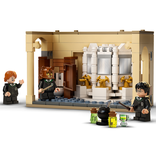 LEGO Harry Potter 76386 Zweinstein: Wisseldrank vergissing
