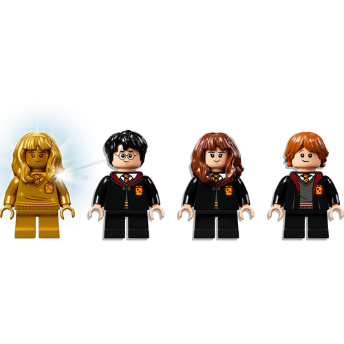 LEGO Harry Potter 76387 Zweinstein: Pluizige ontmoeting