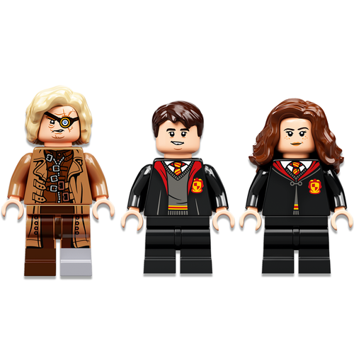 LEGO Harry Potter 76397 Zweinstein Moment: Verweerles